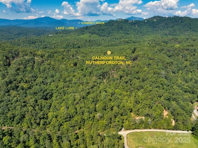 0 Calhoun Trail unit CAR4298763, Rutherfordton, NC 28139 - photo 2