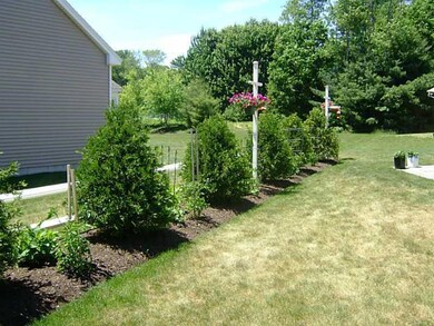 Back Yard. This even comes with lots...