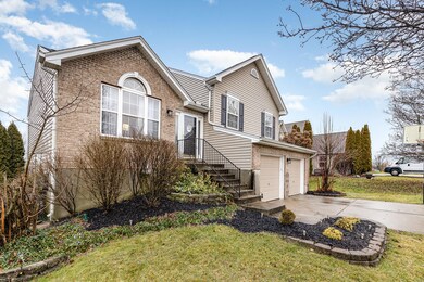 003_2479_apollo_ct02-edit