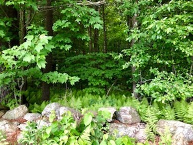 87 S Spencer Rd, Spencer, MA 01562 - photo 2