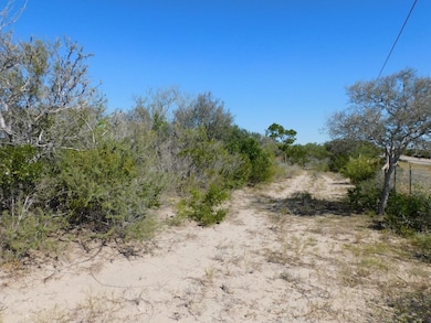 653 S U S Hwy 59, Georgewest, TX 78022 - photo 4