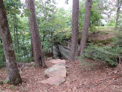 73 Brighton Pointe Ln, Heber Springs, AR 72543 - photo 2