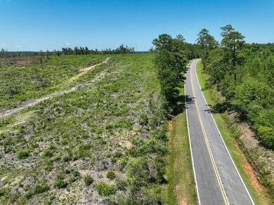 0 Long Branch Rd unit 25649021, Toomsboro, GA 31090 - photo 6