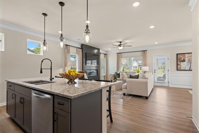 80 Cove Rd, Chickamauga, GA 30707 - photo 6