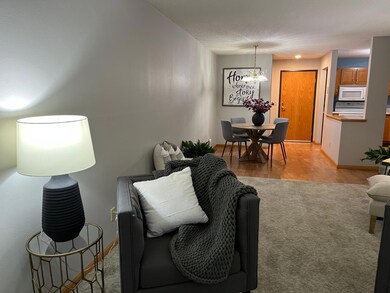 912 Hawthorne St unit 106, Alexandria, MN 56308 - photo 7