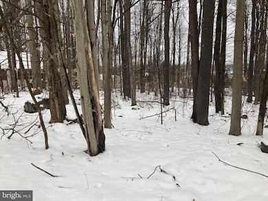 11 Mohican Trail, Tobyhanna Township, PA 18347 - photo 3