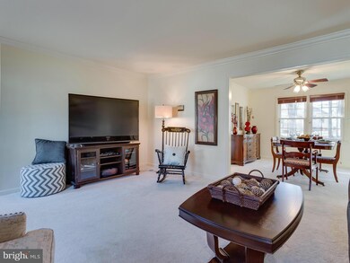 8503 Cherry Heights Ct, Springfield, VA 22153 - photo 6