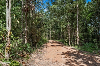 XXX Sinclair St, Chipley, FL 32428 - photo 2