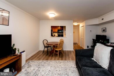 10570 Main St unit 308, Fairfax, VA 22030 - photo 7