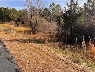 202 McGowan Springs Dr, Cross Hill, SC 29332 - photo 4