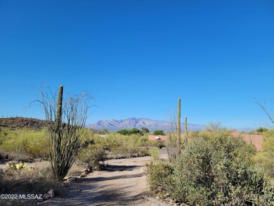 View from Front Yard