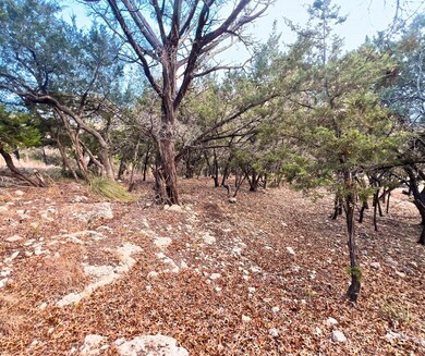 View of undeveloped land