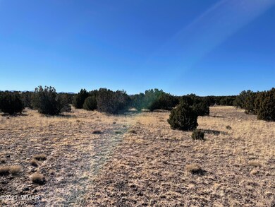 -097 ACR N8492 Concho