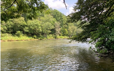 1207 Greely Dr, Ellijay, GA 30540 - photo 4