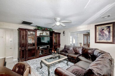 Cypress - 3342 (1)