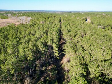 Nhn Gobbler Head Rd, Poplarville, MS 39470 - photo 5