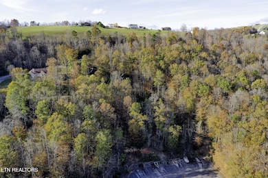 390 Graphite Ct, New Tazewell, TN 37825 - photo 3