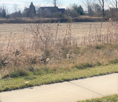 15355 W 159th St, Lockport, IL - photo 3