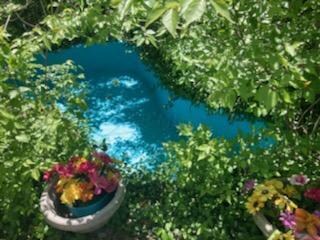 Pond2