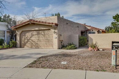 Large Easy Care Front Yard