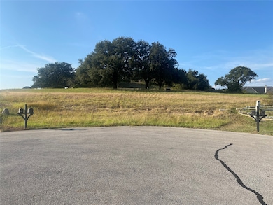 724 Coastal Meadows Ct, Granbury, TX 76049 - photo 2