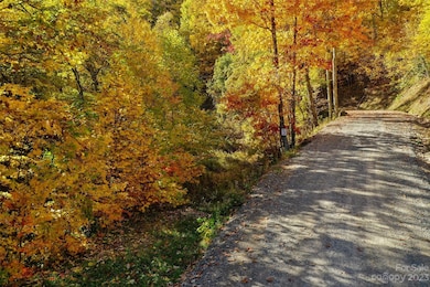 Tract 3 Sigogglin Trail, Jonathan Creek, NC 28785 - photo 2
