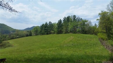 1628 Phipps Creek Rd, Burnsville, NC 28714 - photo 2