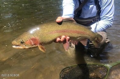 Colorado Rainbow