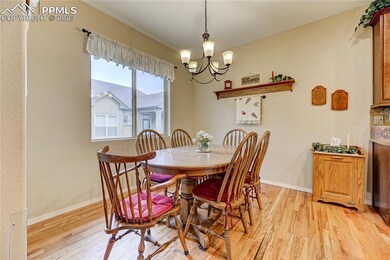 There's plenty of sunlight in the dining room righ