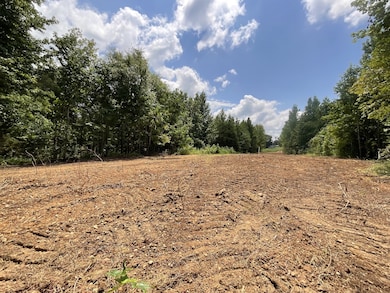 5 Lyle Hollow Rd, Palmyra, TN 37142 - photo 6