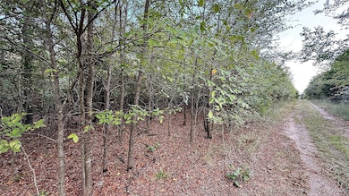 2 S 4531 Rd, Vian, OK 74962 - photo 2