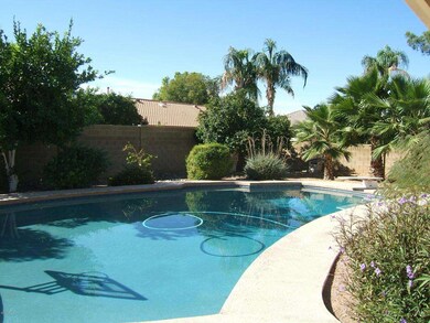 Diving Pool (2)