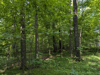 N6683 Aspen Rd, Phillips, WI 54555 - photo 6