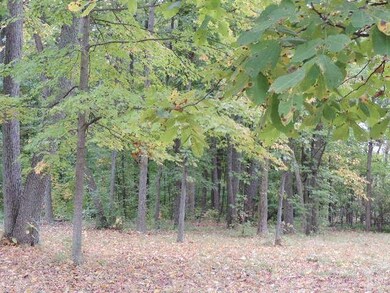 10636 Kress Rd, Roanoke, IN 46783 - photo 6