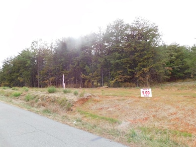 5 Acres Brights Rd, Gretna, VA 24557 - photo 3