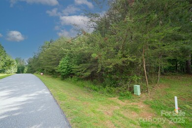 136 Oak Point Ln, Stony Point, NC 28678 - photo 5