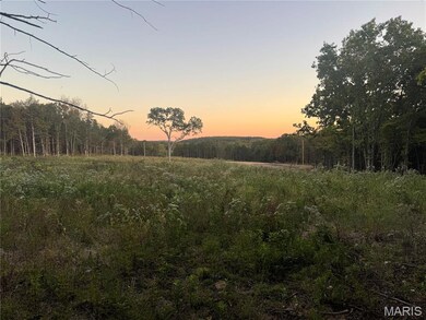 0 Maries 638 Rd unit MIS25067458, Dixon, MO 65459 - photo 3