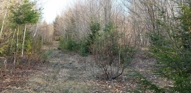 20210420_180318_resized