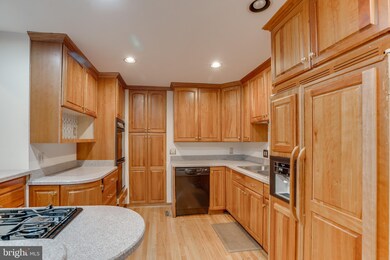 1104 Bellemore Rd, Baltimore, MD 21210 - photo 7