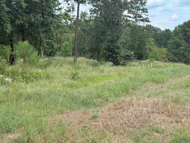 12543 Farm To Market 225, Cushing, TX 75760 - photo 3