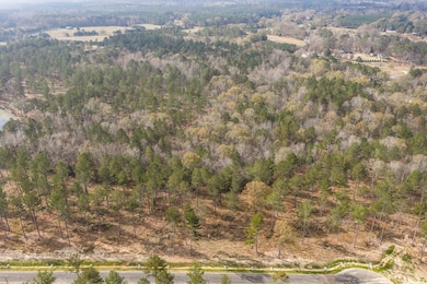 158 Beagle Chase Dr, Appling, GA 30802 - photo 3