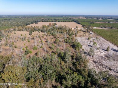 XXX 124th St, Live Oak, FL 32060 - photo 5