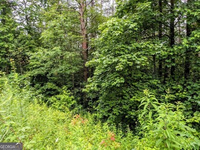 LOT32 Lakeview Dr, Turtletown, TN 37391 - photo 4