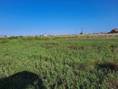 TWO SPACIOUS LOTS CLOSE TO ALL THE FUN ACTIVITIES