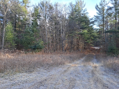 V/L Devolder Rd, Star Township, MI 49730 - photo 7