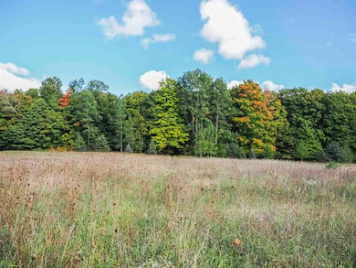 TBD Jaquay Rd, Boyne City, MI 49712 - photo 5