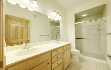 Master bath vanity and shower