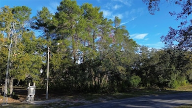 7931 Rhanbuoy Rd, Spring Hill, FL 34606 - photo 3