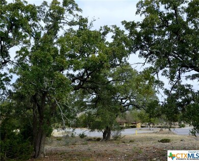 606 Angelica Vista, Canyon Lake, TX 78133 - photo 4