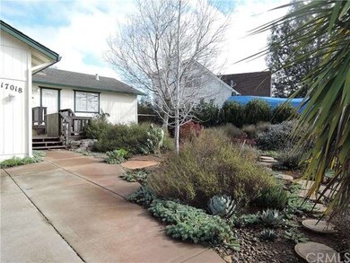 Beautiful succulents grace the front landscaping a
